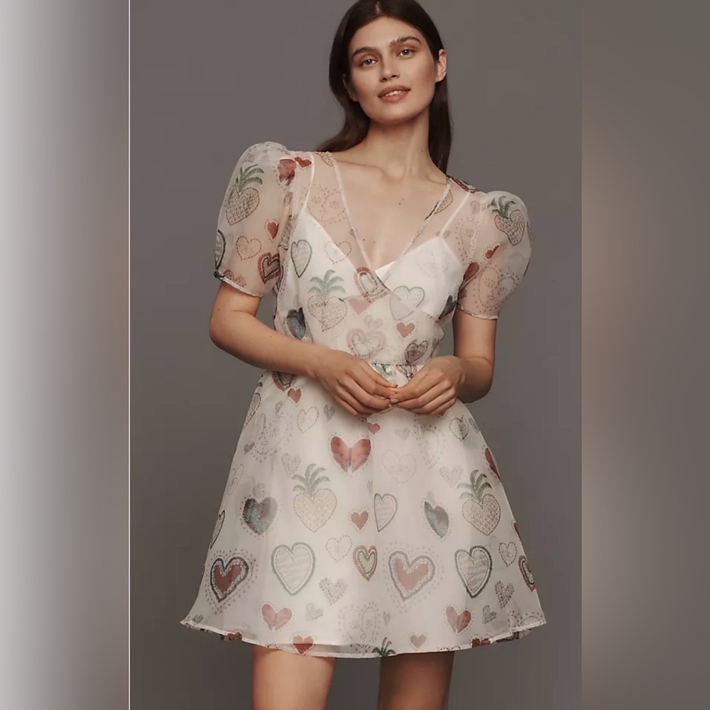 ⭐️NWOT Farm Rio x Anthropologie Puffed Sleeve Semi Sheer Dress⭐️